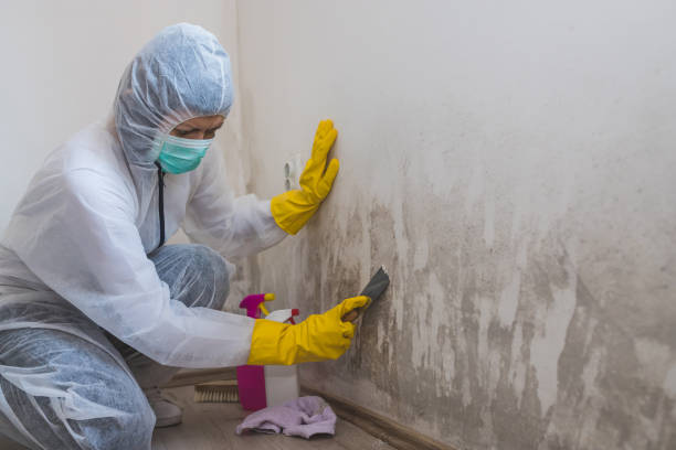 Mold Remediation for Rental Properties in Farmington, UT